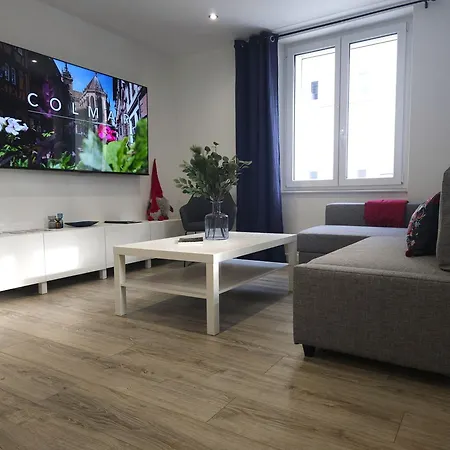 Appartement Familial- T3 Luxe- Borne Ve- Recharging Station - 5min De La Gare- Colmar