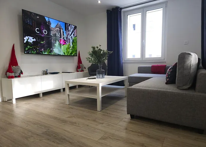 Apartment Familial- T3 Luxe- Borne Ve- Recharging Station - 5min De La Gare- Colmar